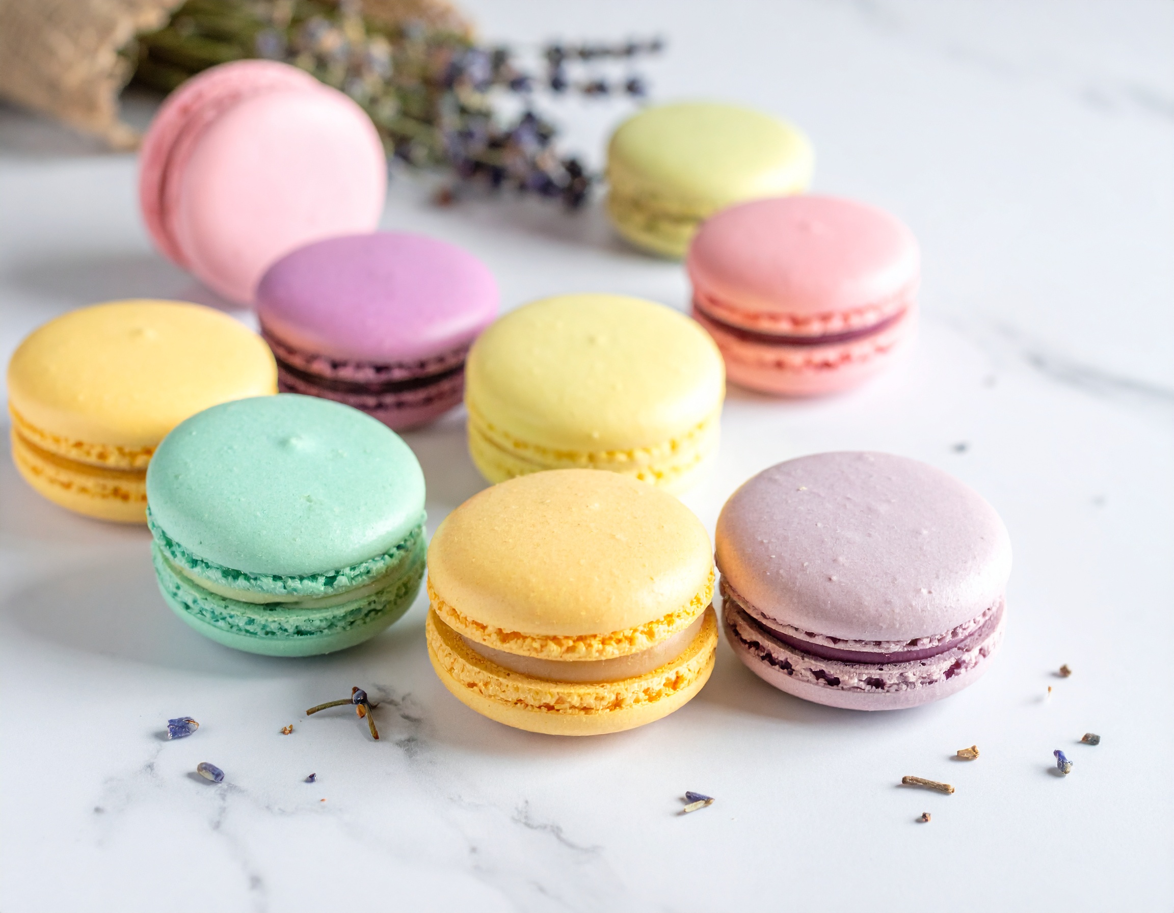 Macarons artesanales coloridos